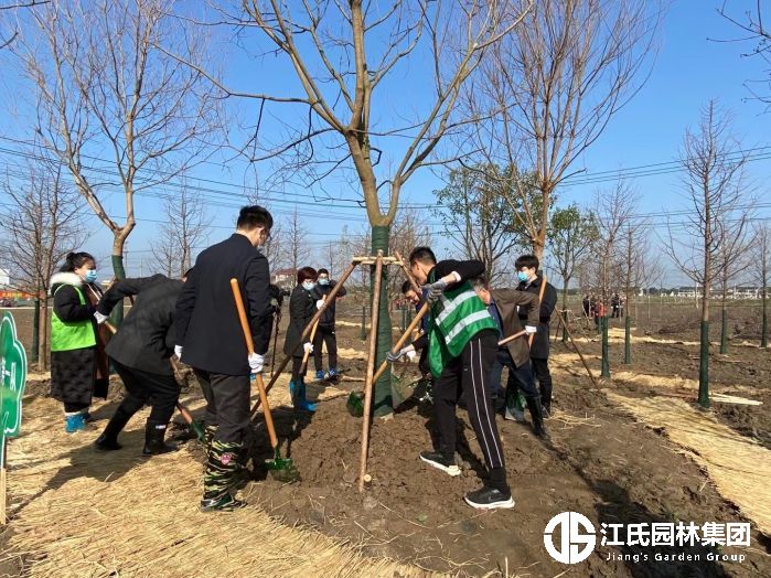 2021庄行植树节活动