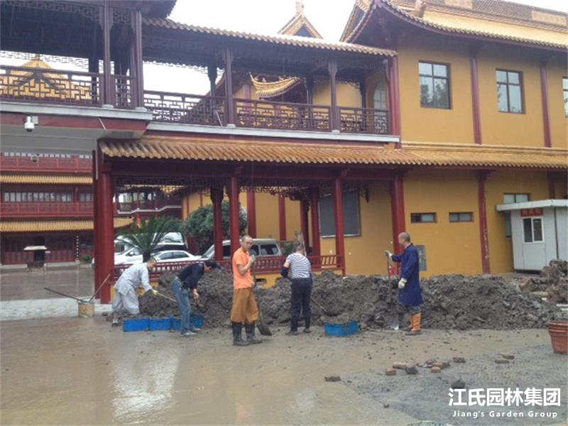 奉贤二严寺景观改建绿化施工项目——江氏园林