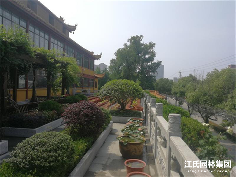奉贤二严寺景观改建绿化施工项目——江氏园林