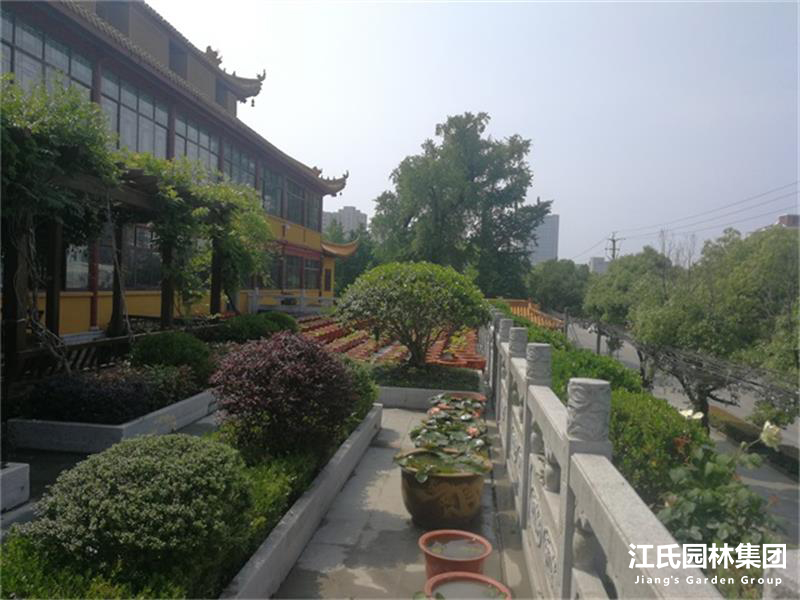 奉贤二严寺景观改建绿化施工项目——江氏园林