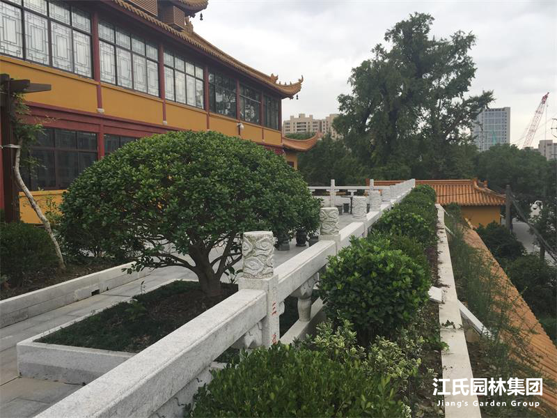 奉贤二严寺景观改建绿化施工项目——江氏园林