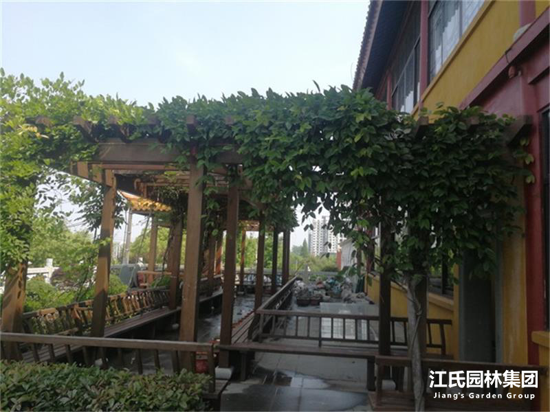 奉贤二严寺景观改建绿化施工项目——江氏园林