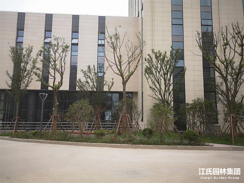 上海华怡(企业)集团有限公司奉贤基地绿化项目工程——江氏园林