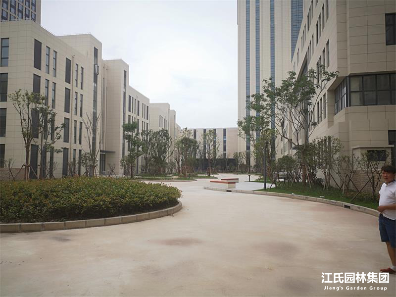 上海华怡(企业)集团有限公司奉贤基地绿化项目工程——江氏园林