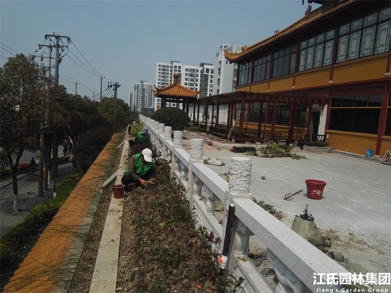 奉贤二严寺景观改建绿化施工项目——江氏园林