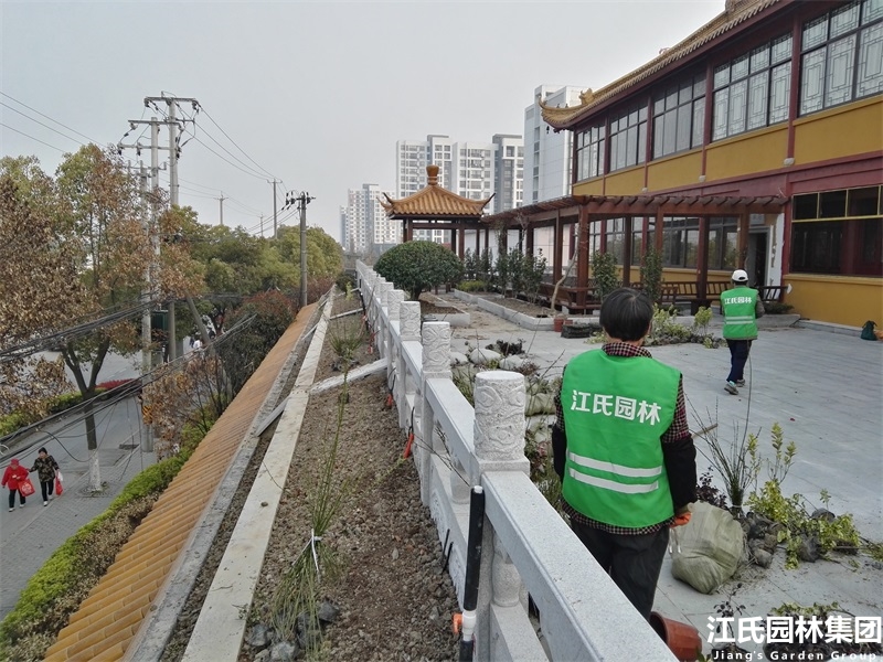 奉贤二严寺景观改建绿化施工项目——江氏园林
