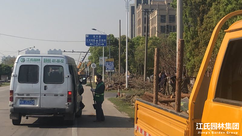 奉贤区道路景观亮化工程施工项目——江氏园林