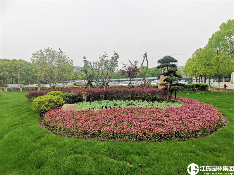 上海嘉顺家具有限公司厂区绿化施工——江氏园林