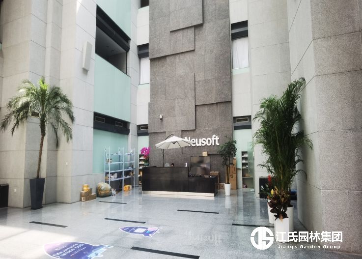 东软集团（上海）有限公司室内绿植租摆